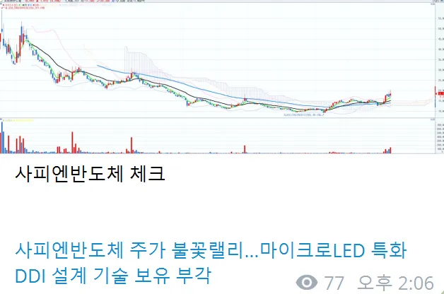 사피엔반도체 체크 