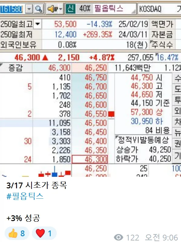 3/17일 주식정보 필옵틱스 +3%성공