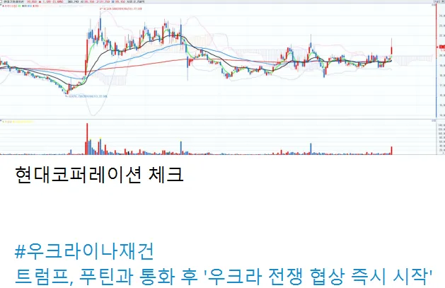 현대코퍼레이션 체크 