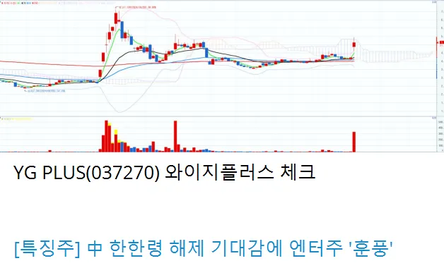 2/20일 주식정보 