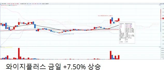 2/27일 주식정보 와이지 플러스